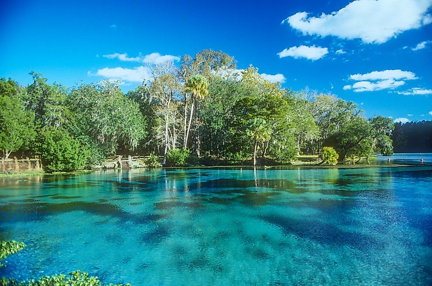 View of Silver Glen Springs at Ocala National Forest