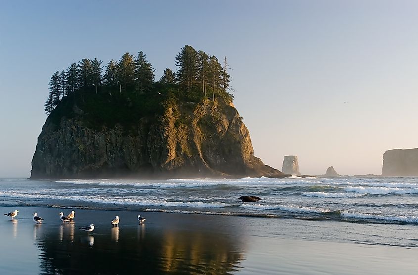 A view of the sea stacks at Olympic Coast National Marine Sanctuary