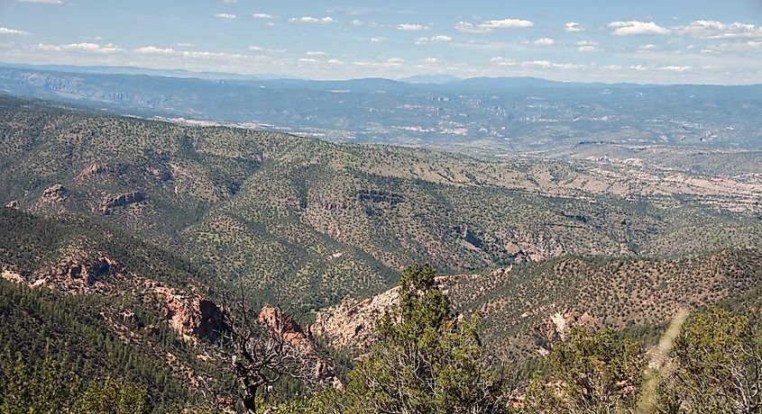 View of the landscape at Gila National Forest