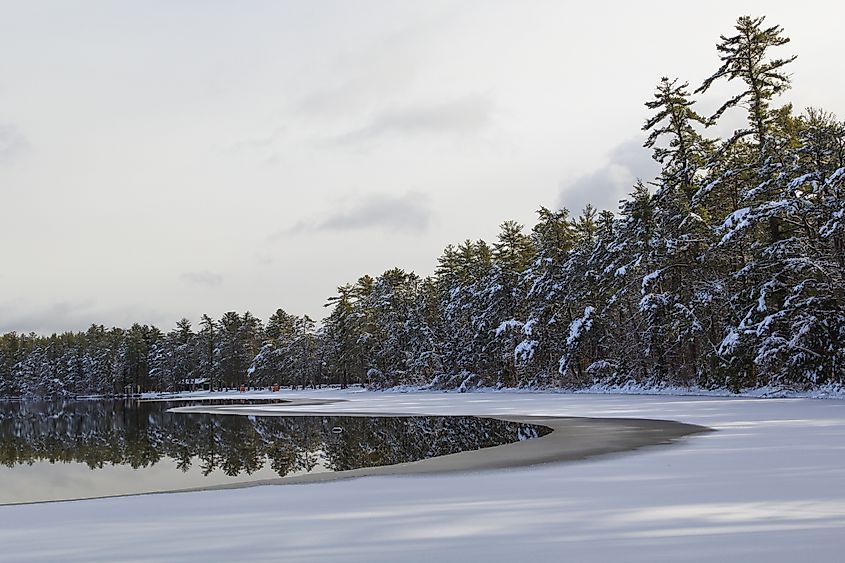 A view of White Lake and the surrounding trees during winter