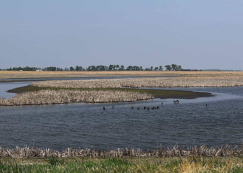 Landscape at Sand Lake National Wildlife Refuge