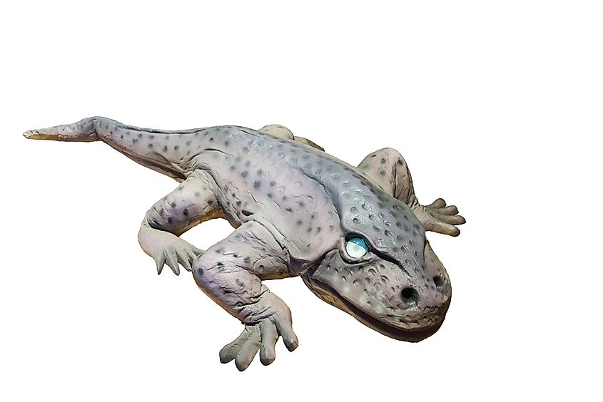 An illustration of temnospondyls, an early tetrapod group.